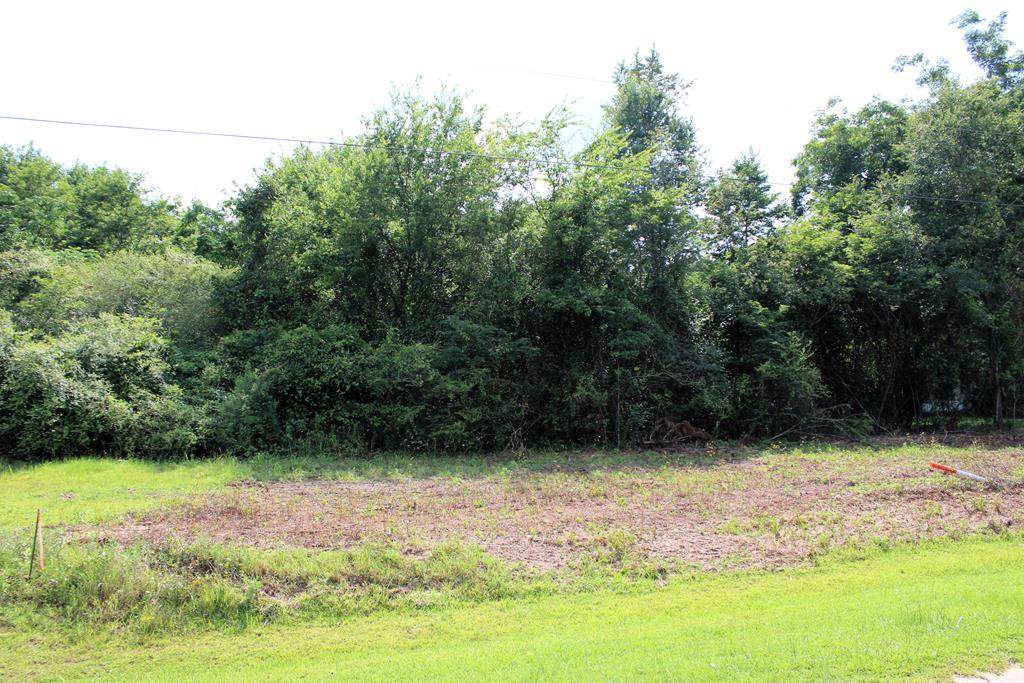 0 Mathis Rd - Photo 1