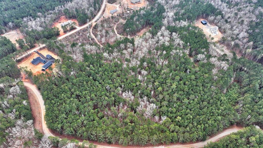 Lot 5 Cochran Road - Photo 1