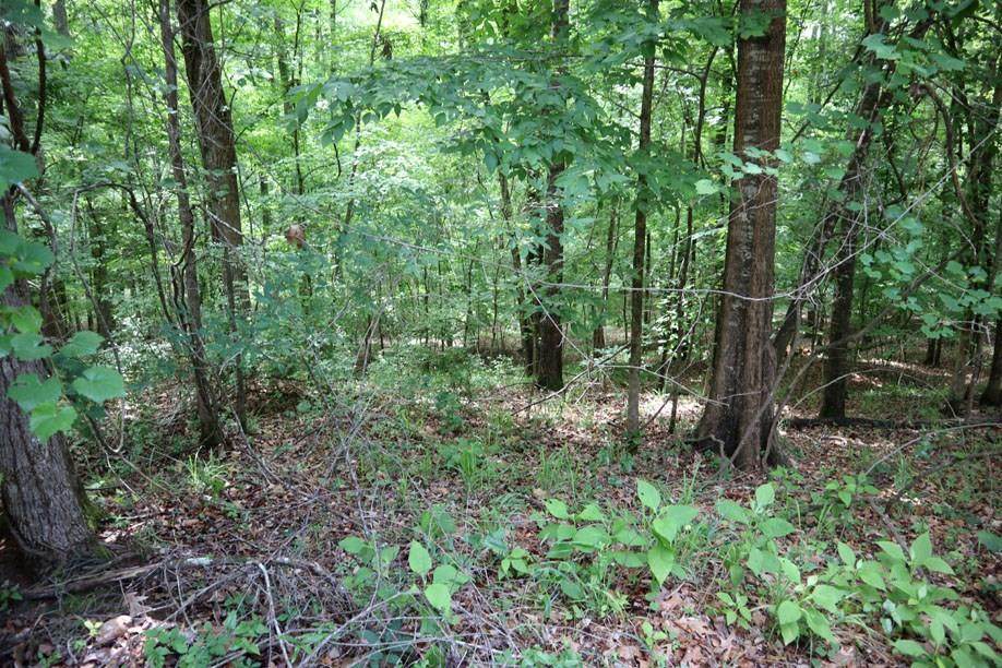 LT.102 Village Ct. - Photo 1