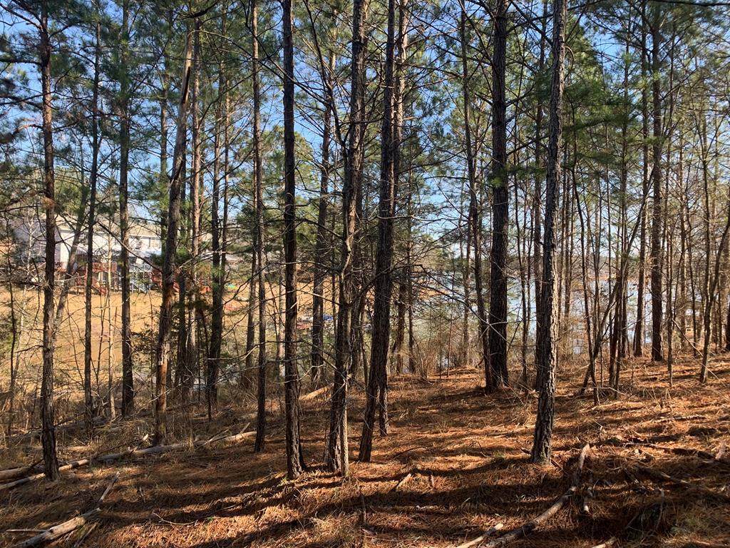 116 Island Creek Dr. - Photo 1