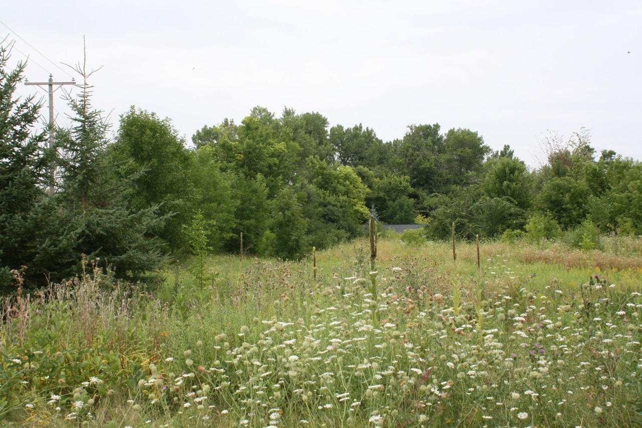 Lt4 Shady Dr - Photo 1
