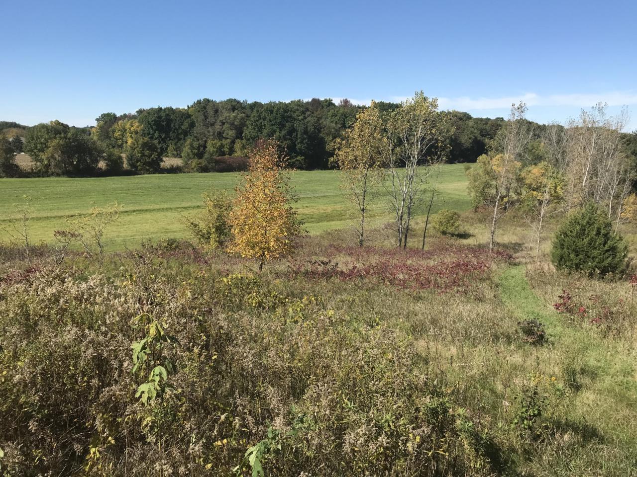N1015 2nd Street Rd - Photo 1