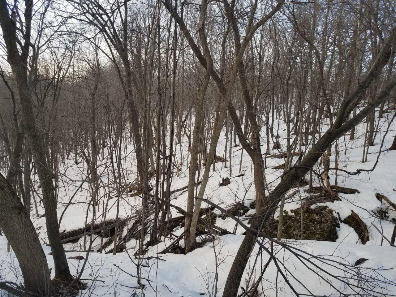 0 0 Hwy 95 - Photo 1