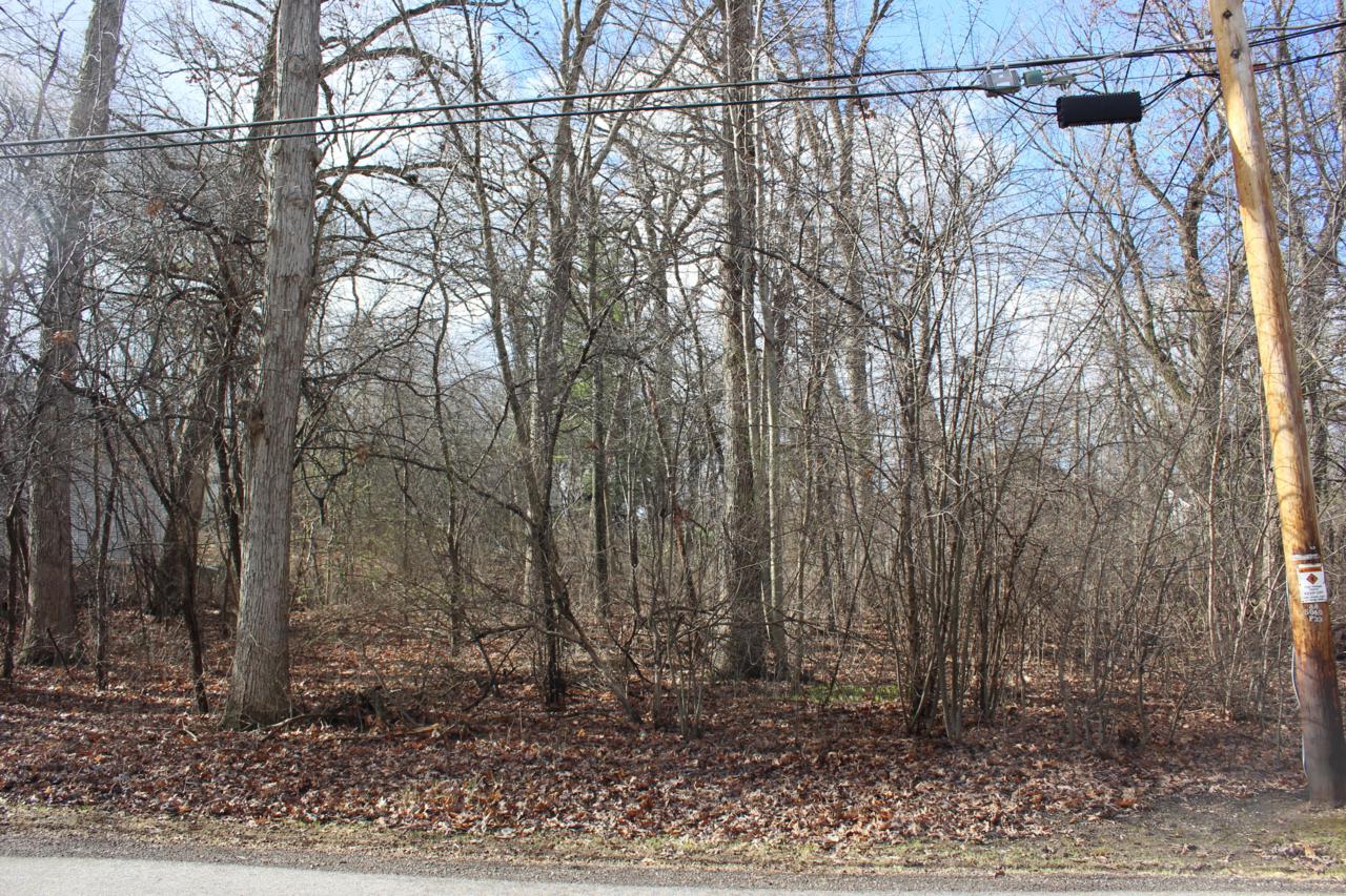 Lt17 Lakeshore Dr - Photo 1