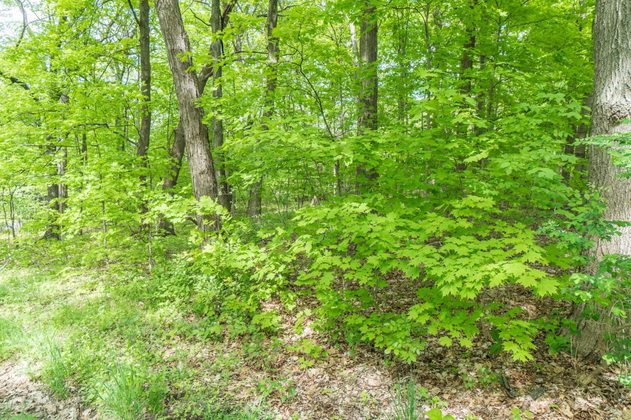 Lt4-6 Maple Hills Dr - Photo 1