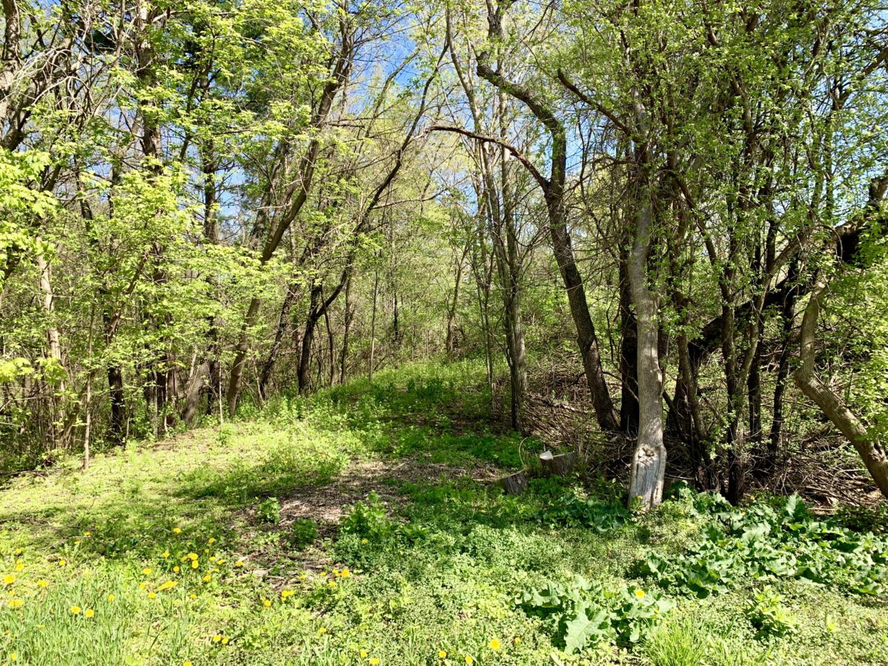 Lt6 Grand View Dr - Photo 1