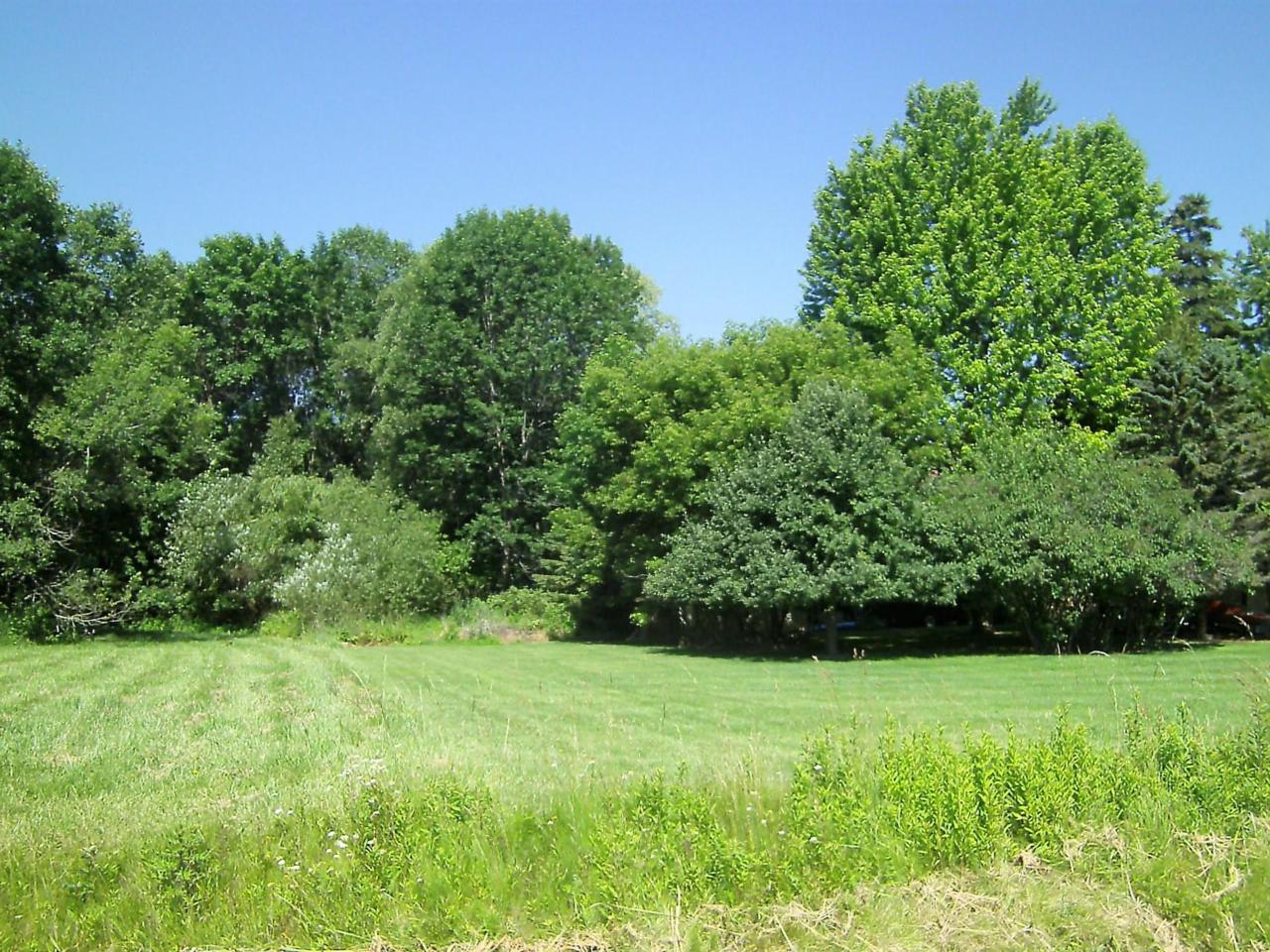 3.53 acres County Road Ls - Photo 1