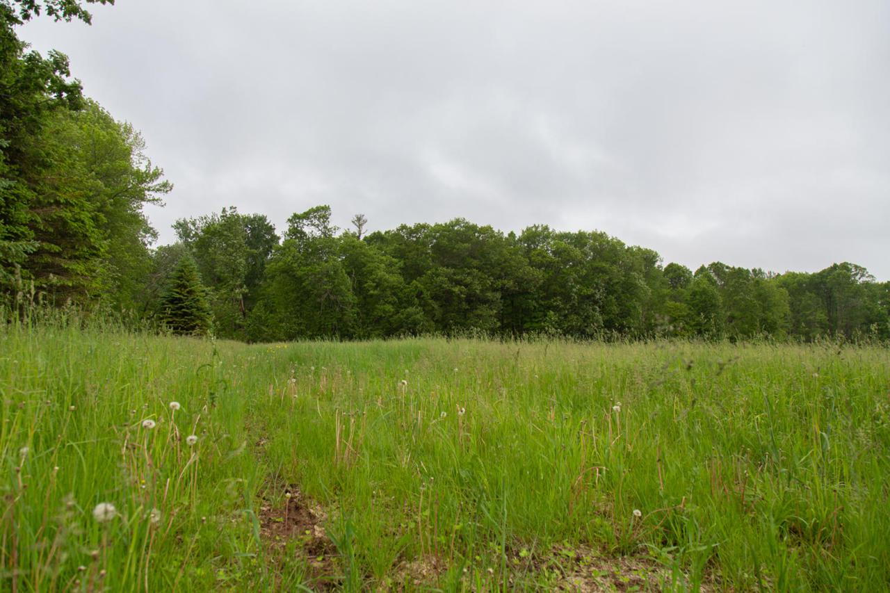 Lt0 North Star Rd - Photo 1