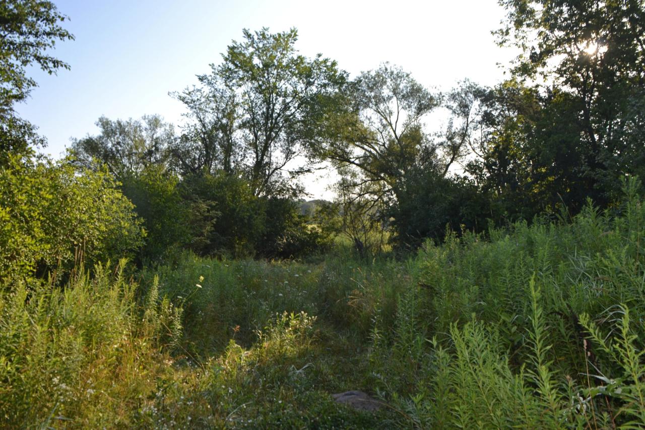 N2901 Cedar Rd - Photo 1