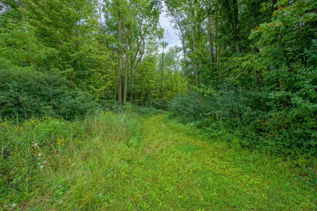 W2137 Roosevelt Rd - Photo 1