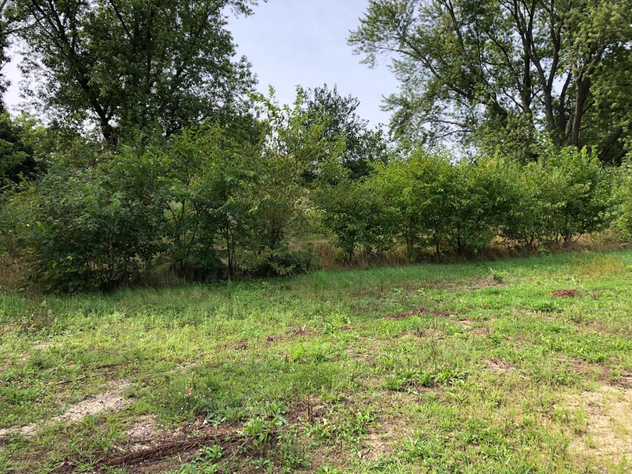 N3656 County Road K - Photo 1