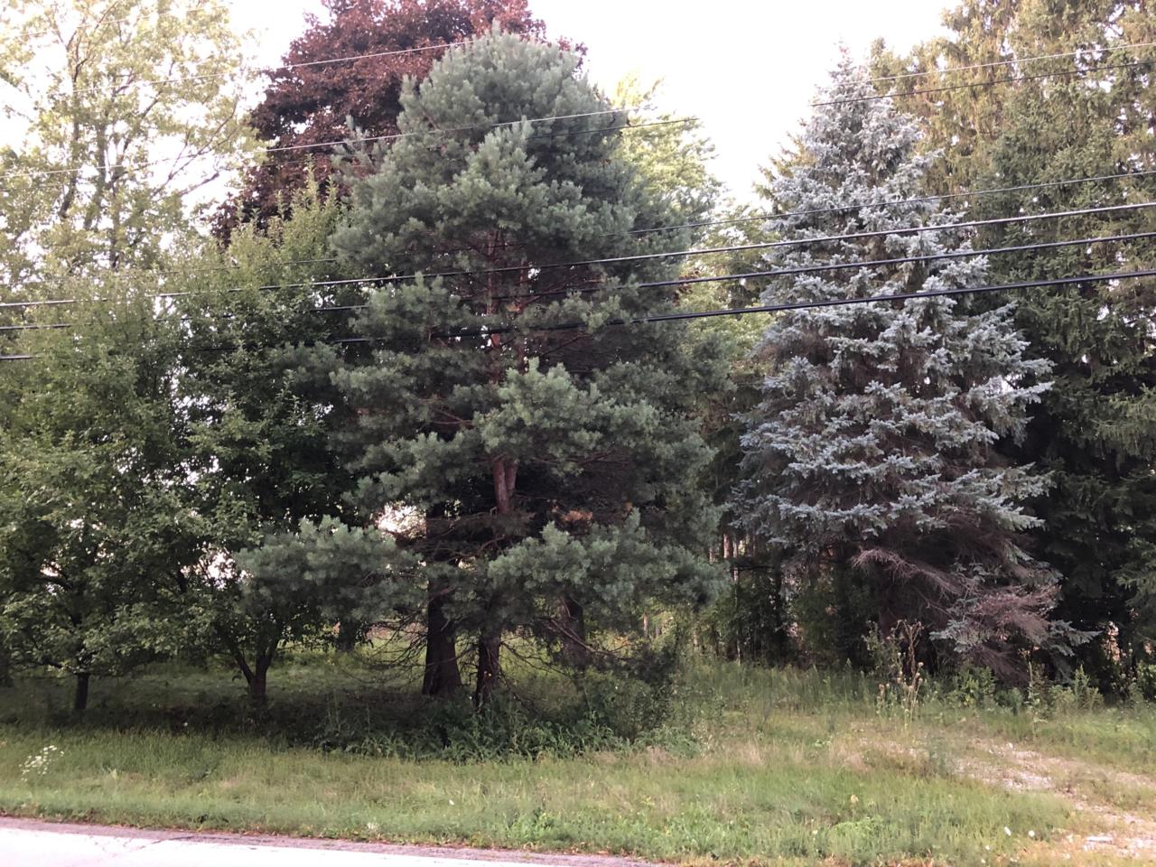 N28W24376 Watertown Rd - Photo 1