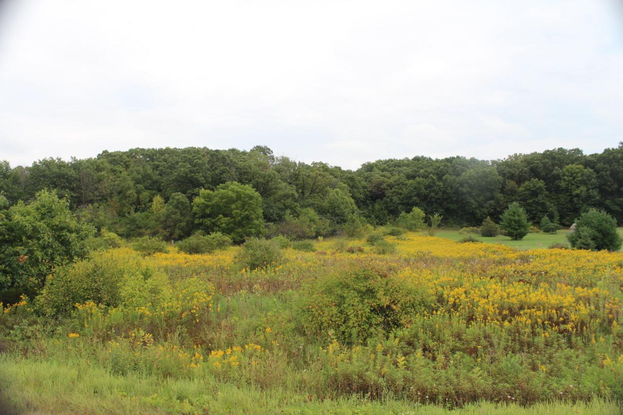 Lt2 Lorwood Dr - Photo 1