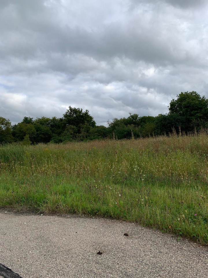 Lt8 Violet Rd - Photo 1