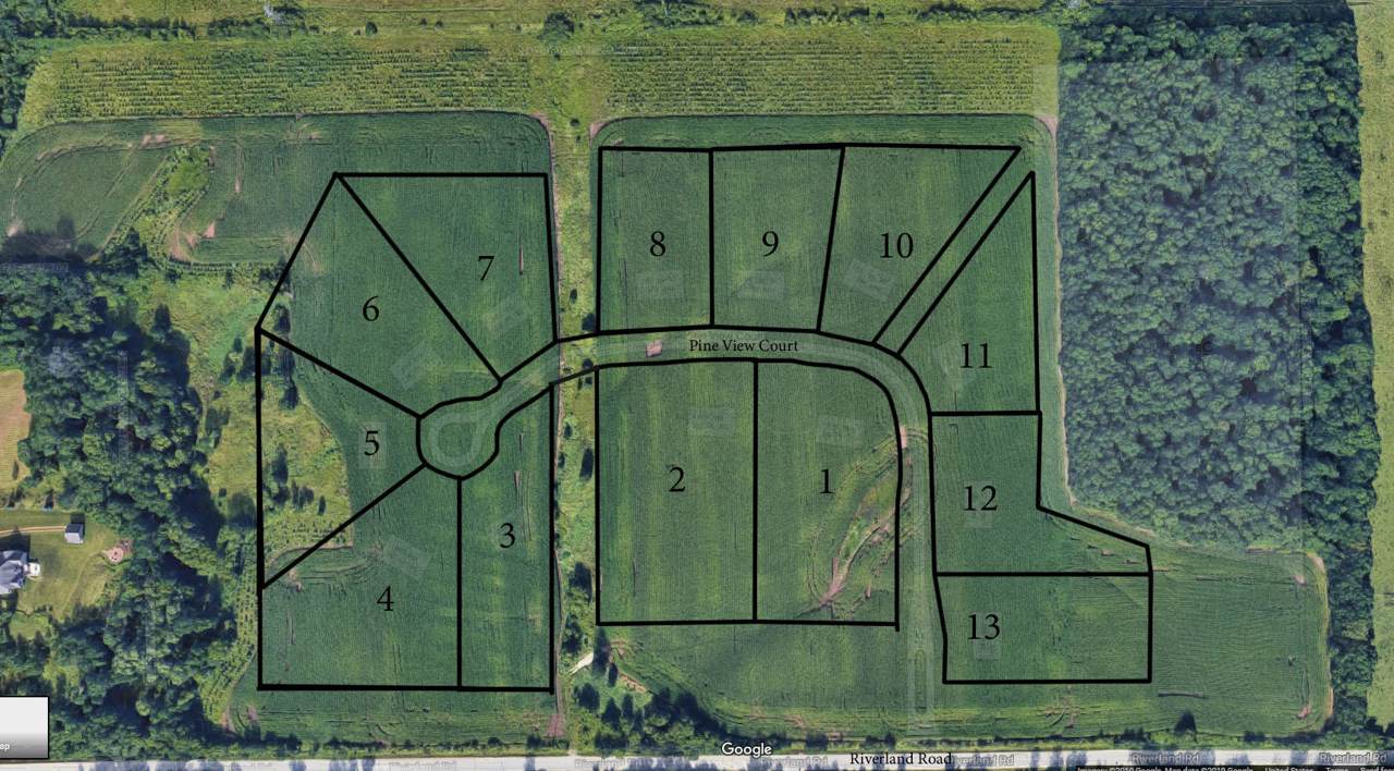 Lot 10 Pine View Ct - Photo 1