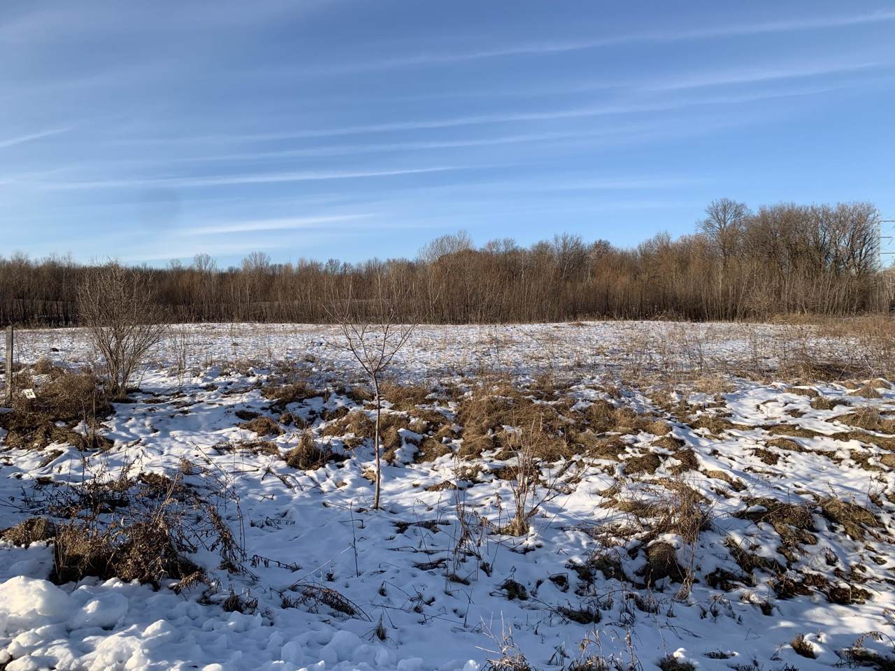Lt22 Pheasant Run - Photo 1