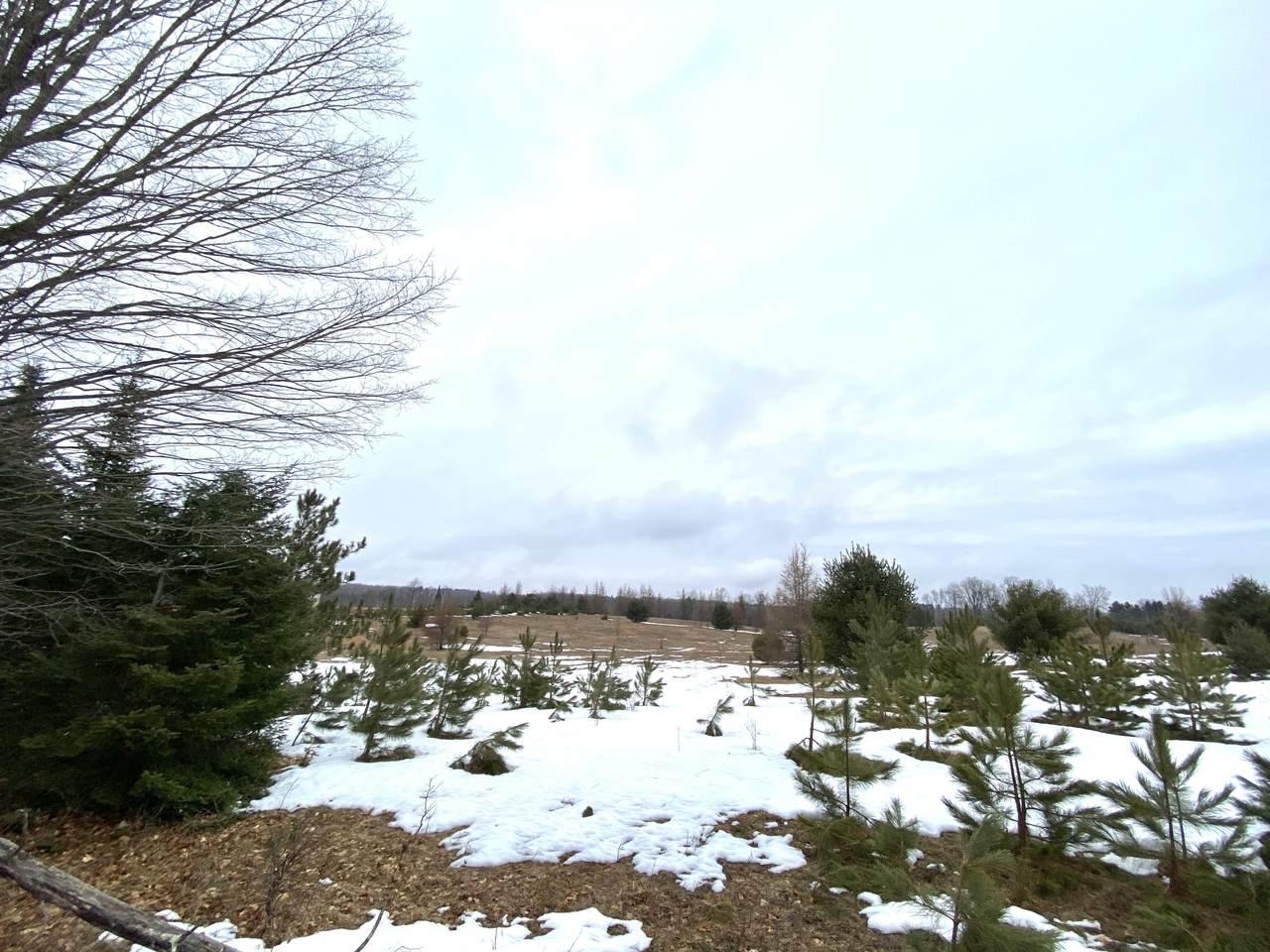 10 Acres Ring Rd - Photo 1