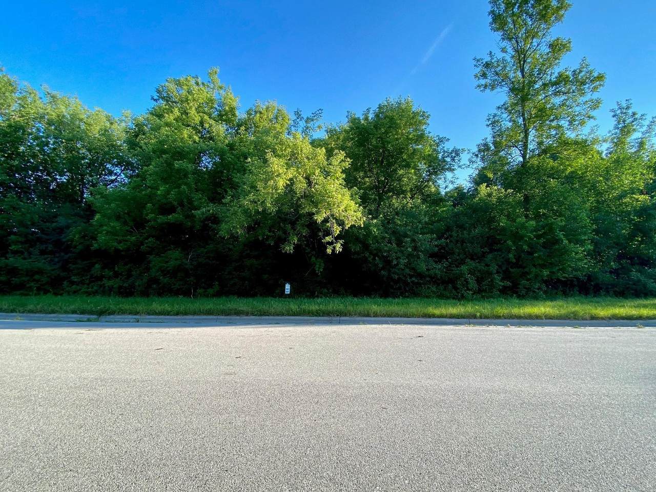 1136 Lisa Ln - Photo 1