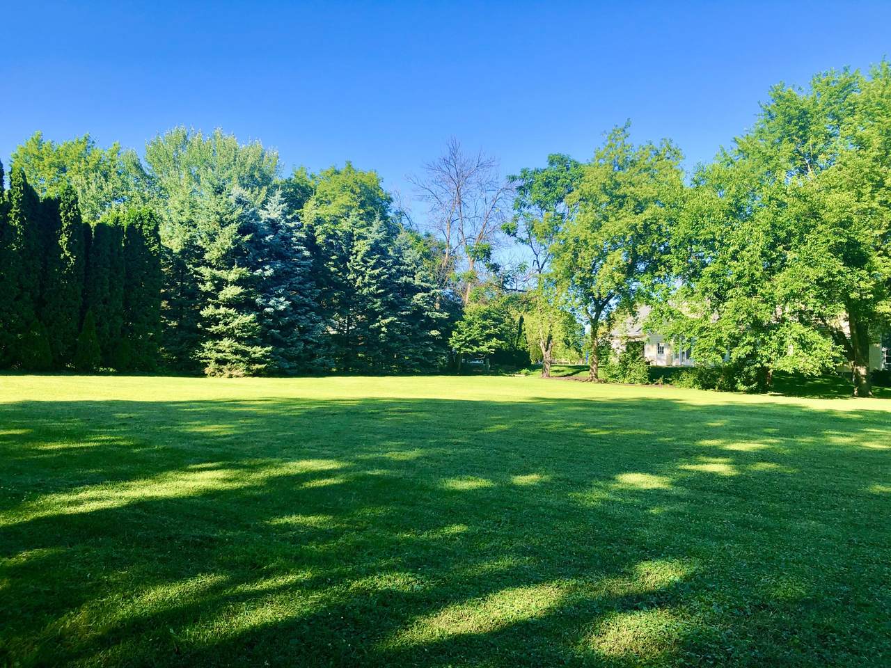 4081 Webster Ave - Photo 1