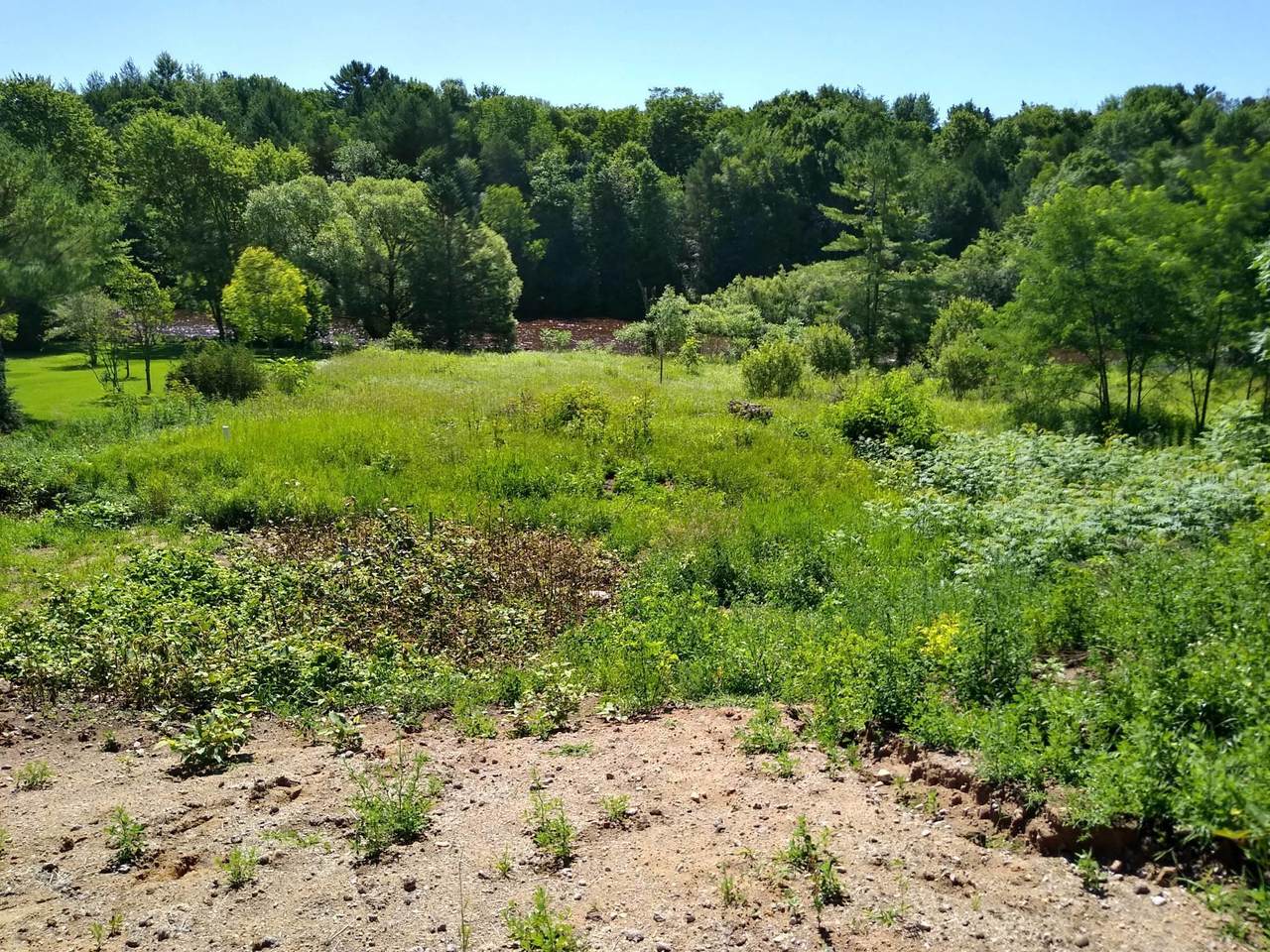 W2299 State Road 22 - Photo 1