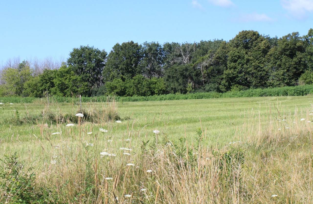 Lt1 Meadow View Estates - Photo 1