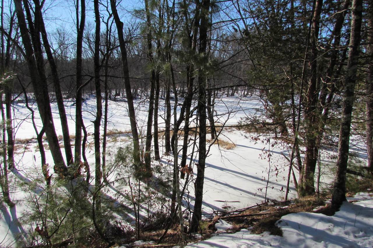 Lt 18 Island Bluff Ln - Photo 1