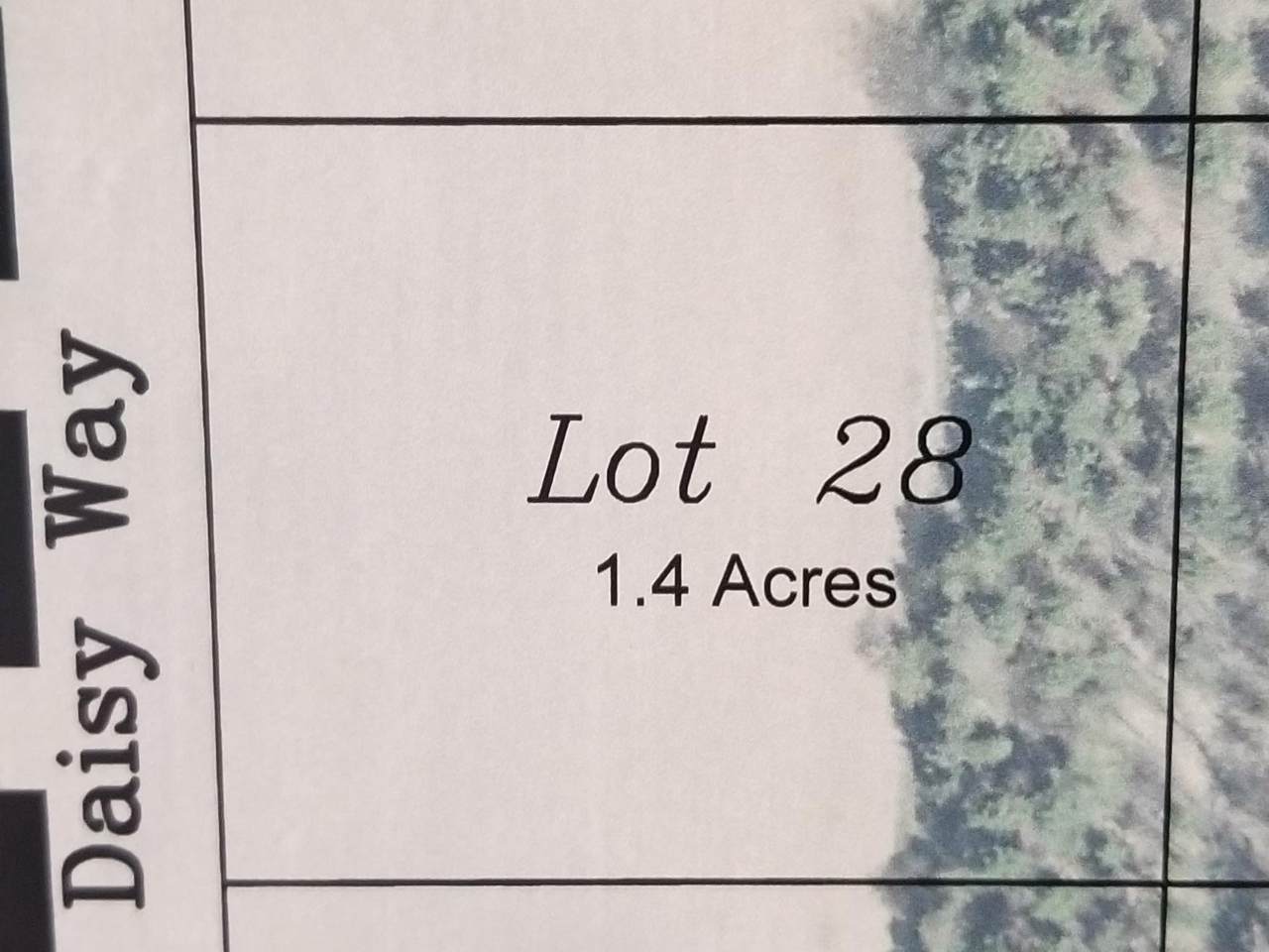 LT 28 Daisy Way - Photo 1