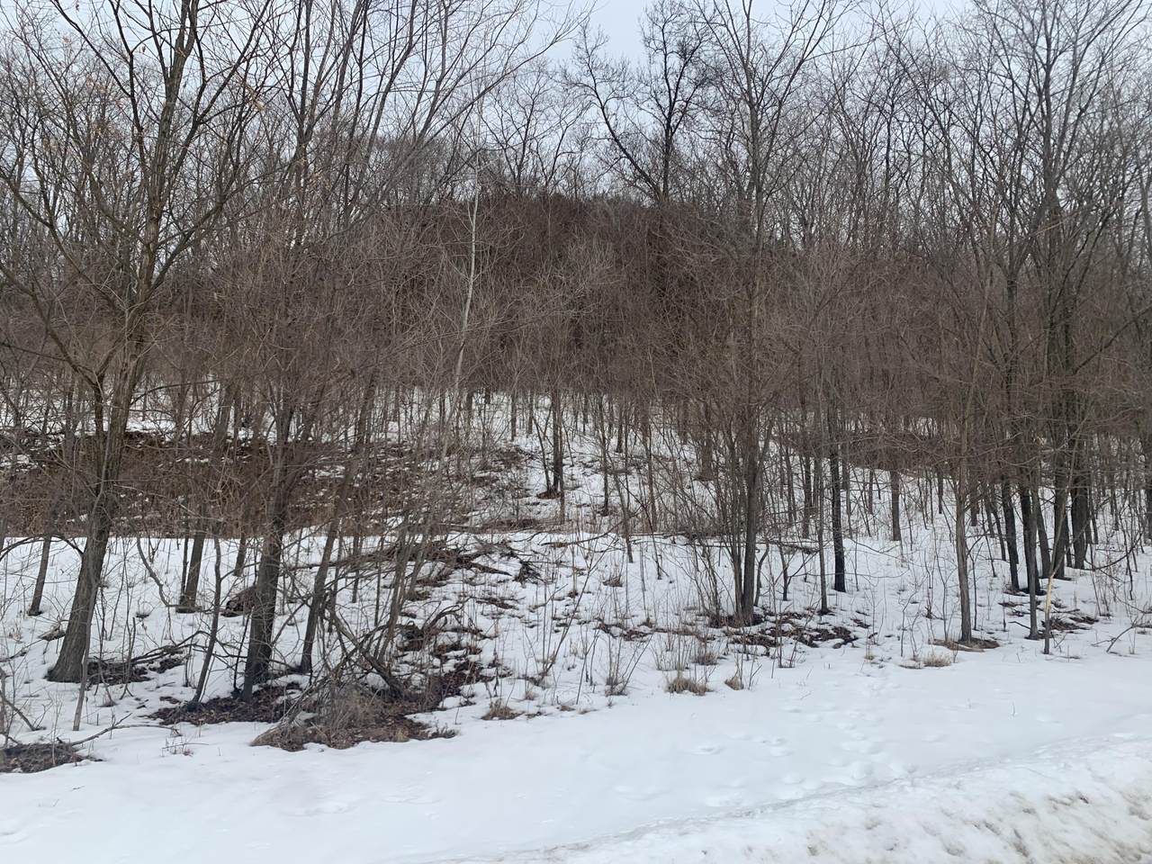 8950 Hillside Ln - Photo 1
