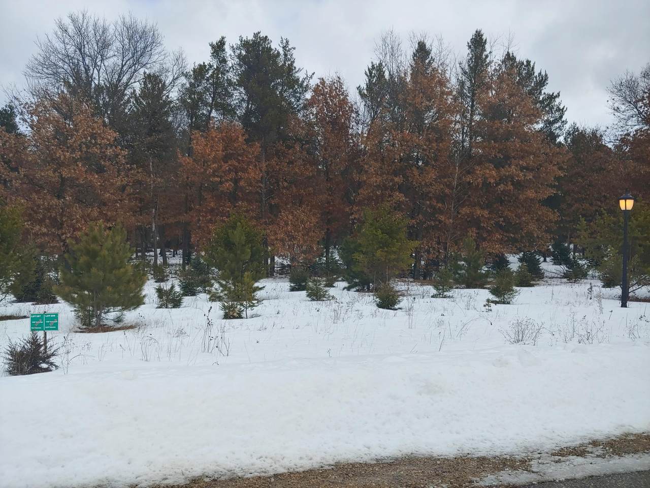 N8038 North Shore Dr - Photo 1