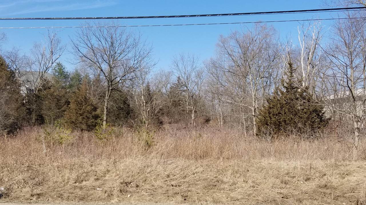 7305 Pine Ridge Dr - Photo 1
