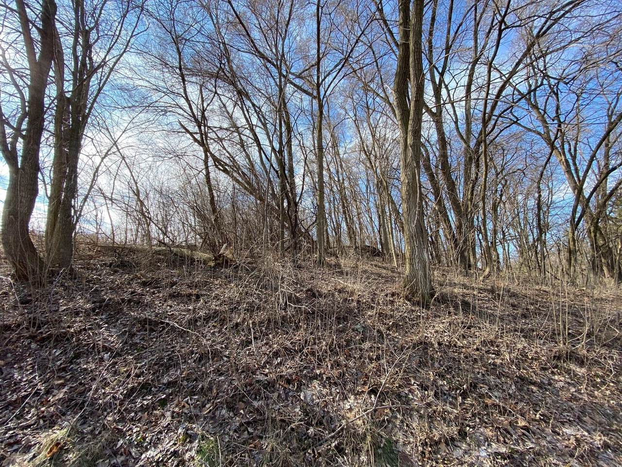 Lt10 95th St - Photo 1