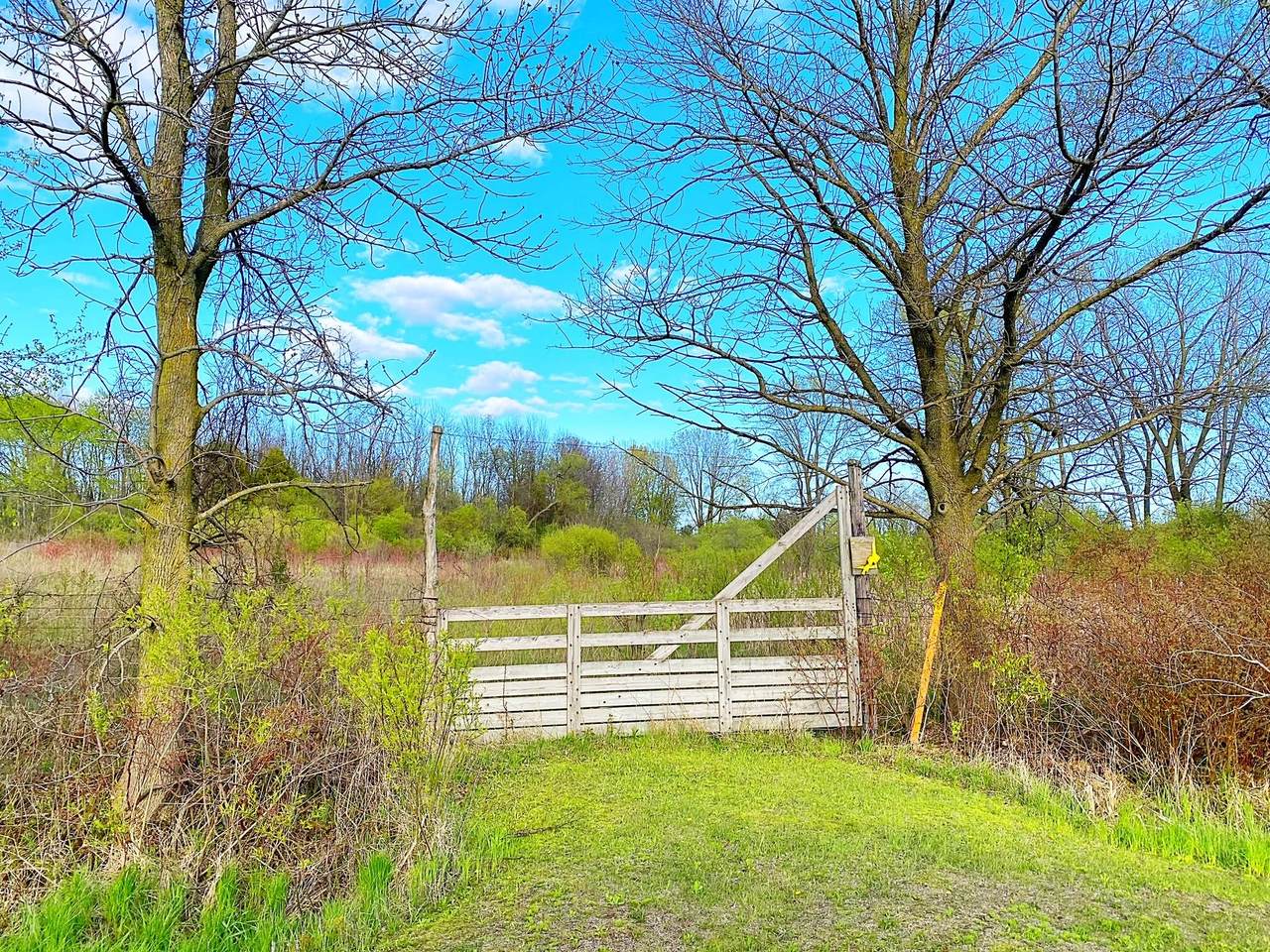 Schad Rd - Photo 1