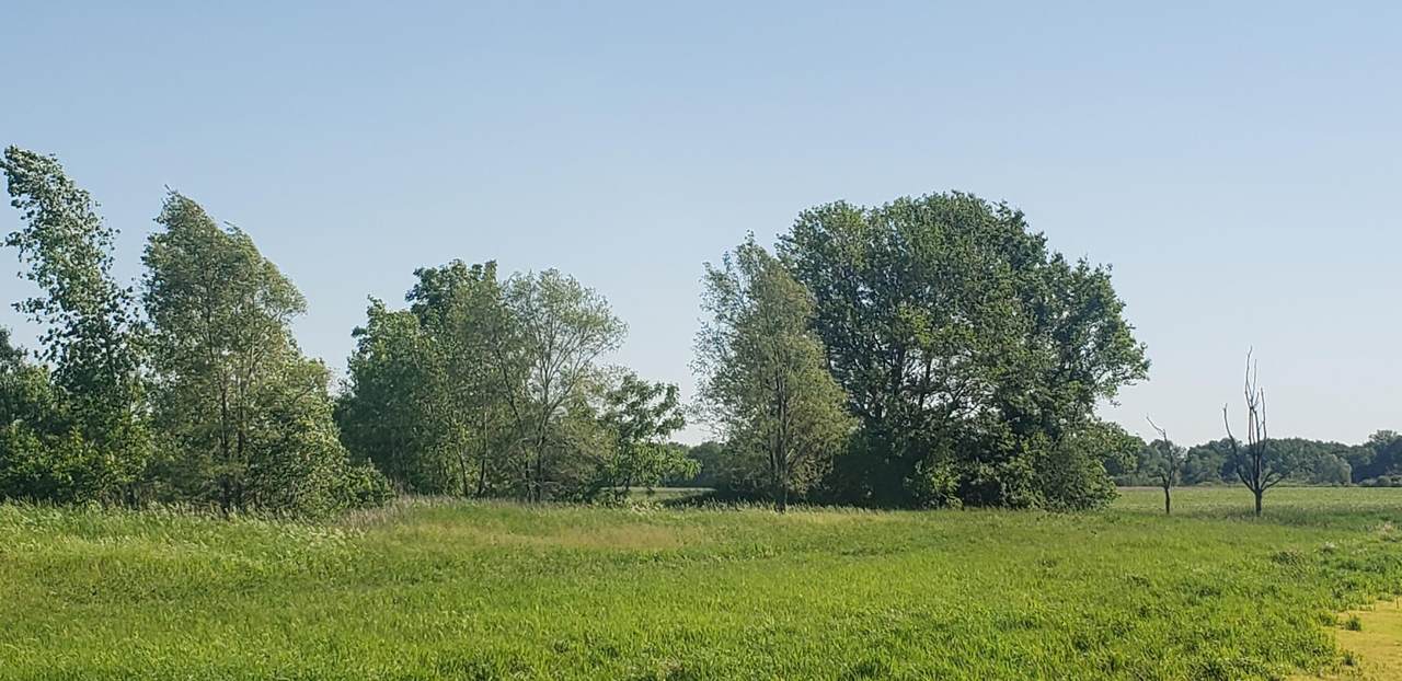 Lt1 Hill Valley Rd - Photo 1