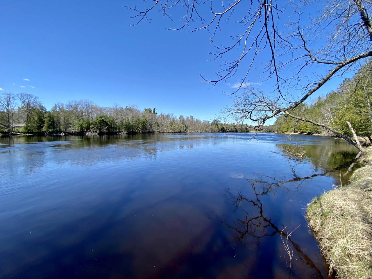 3.54 Ac Rademaker Rd - Photo 1