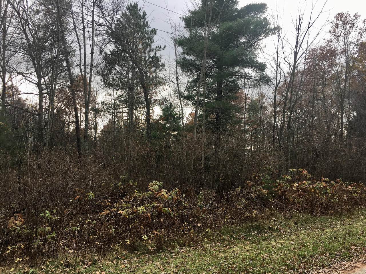 LOT 2 Clover Ave - Photo 1