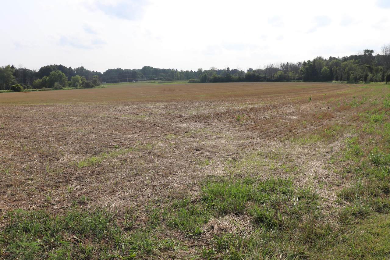 Lt3 Horns Corners Rd - Photo 1