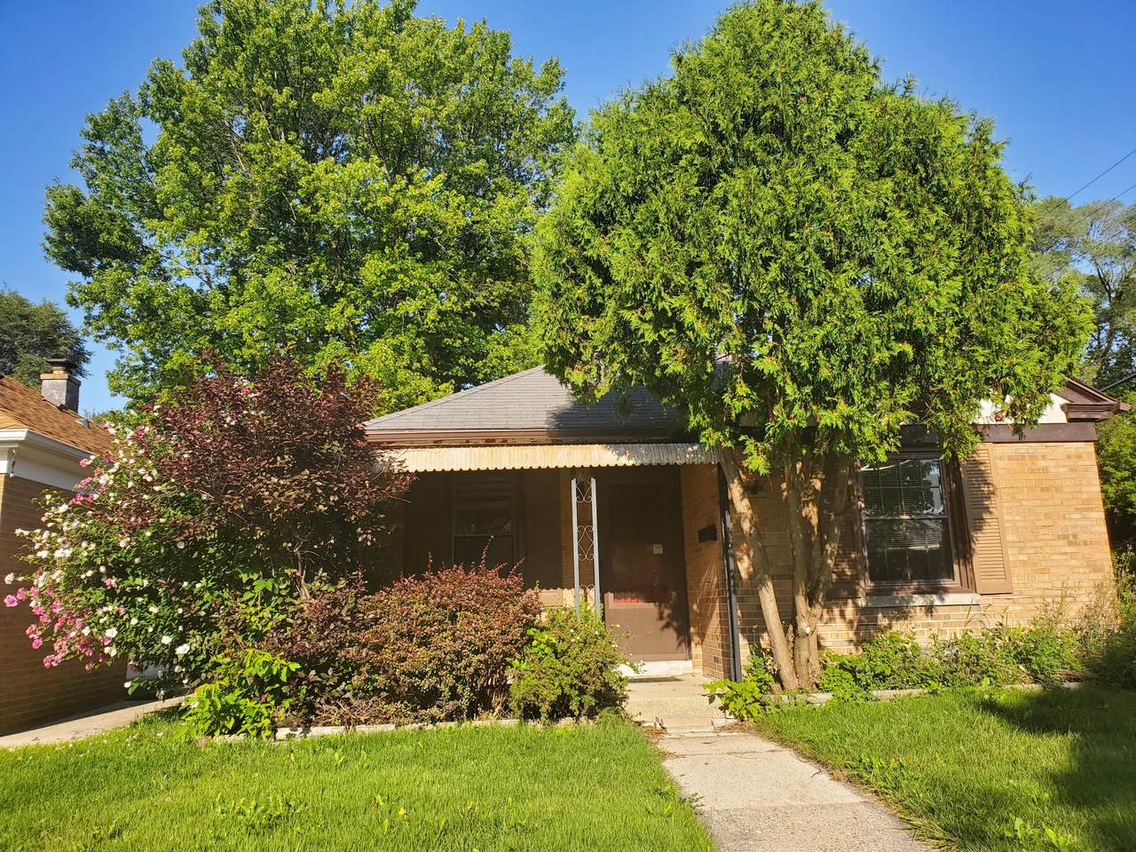 300 Island Ave - Photo 1