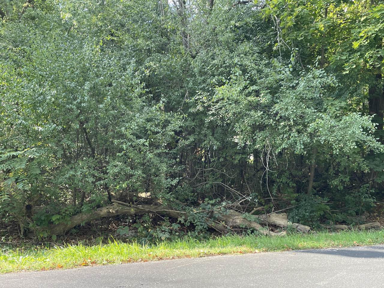Lt7 Kearney Rd - Photo 1
