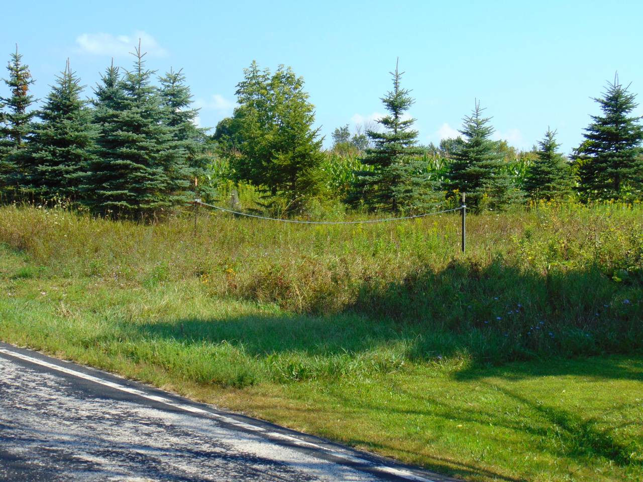 Lt0 County Road A West - Photo 1
