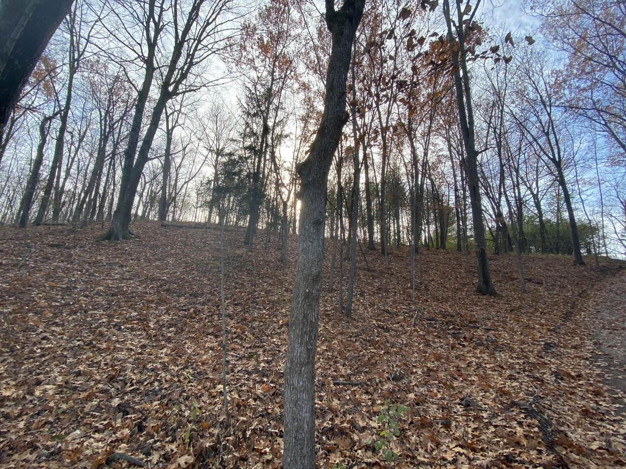 325 Plat Rd - Photo 1