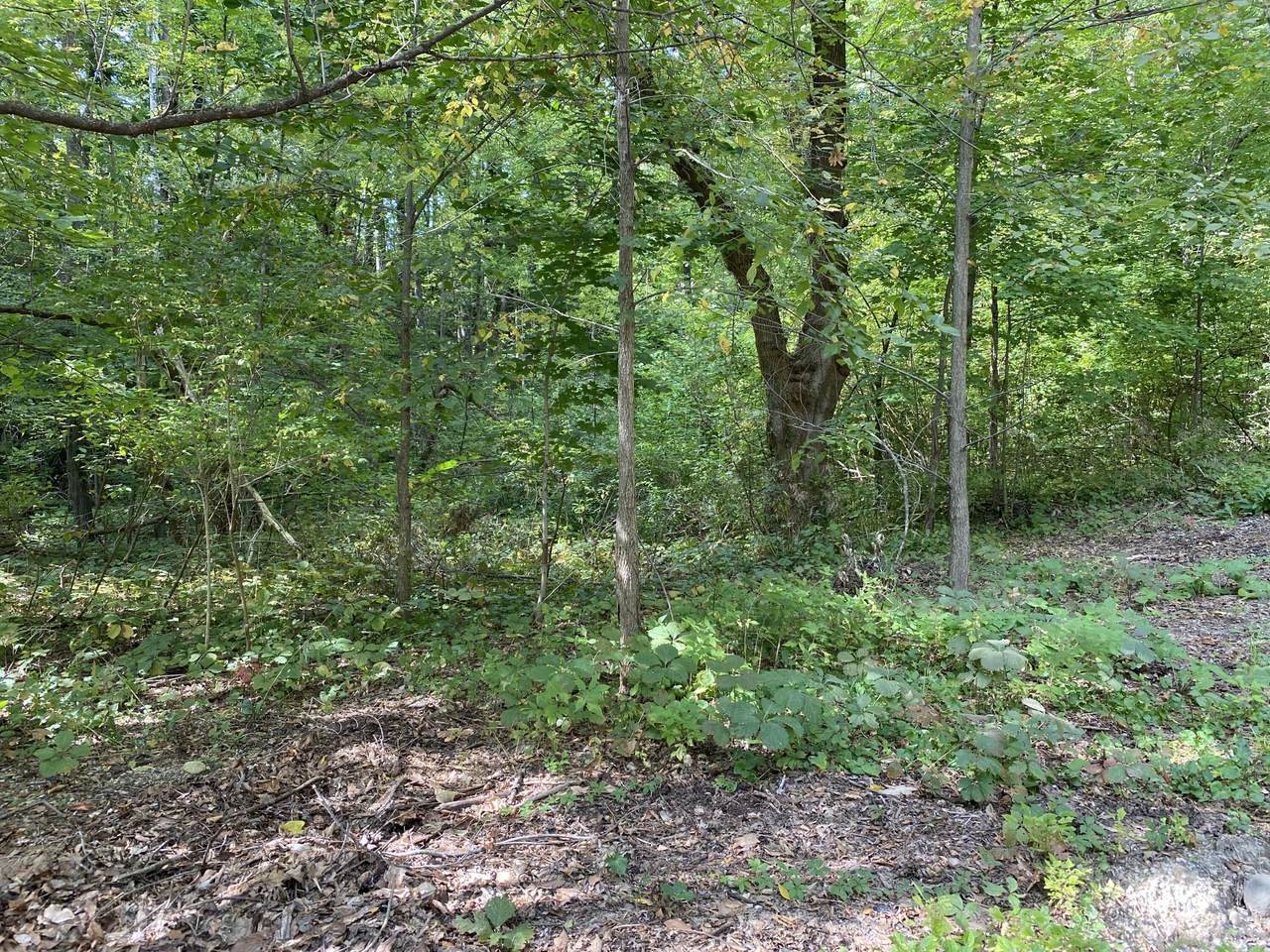 N7517 Schwaller Dr - Photo 1