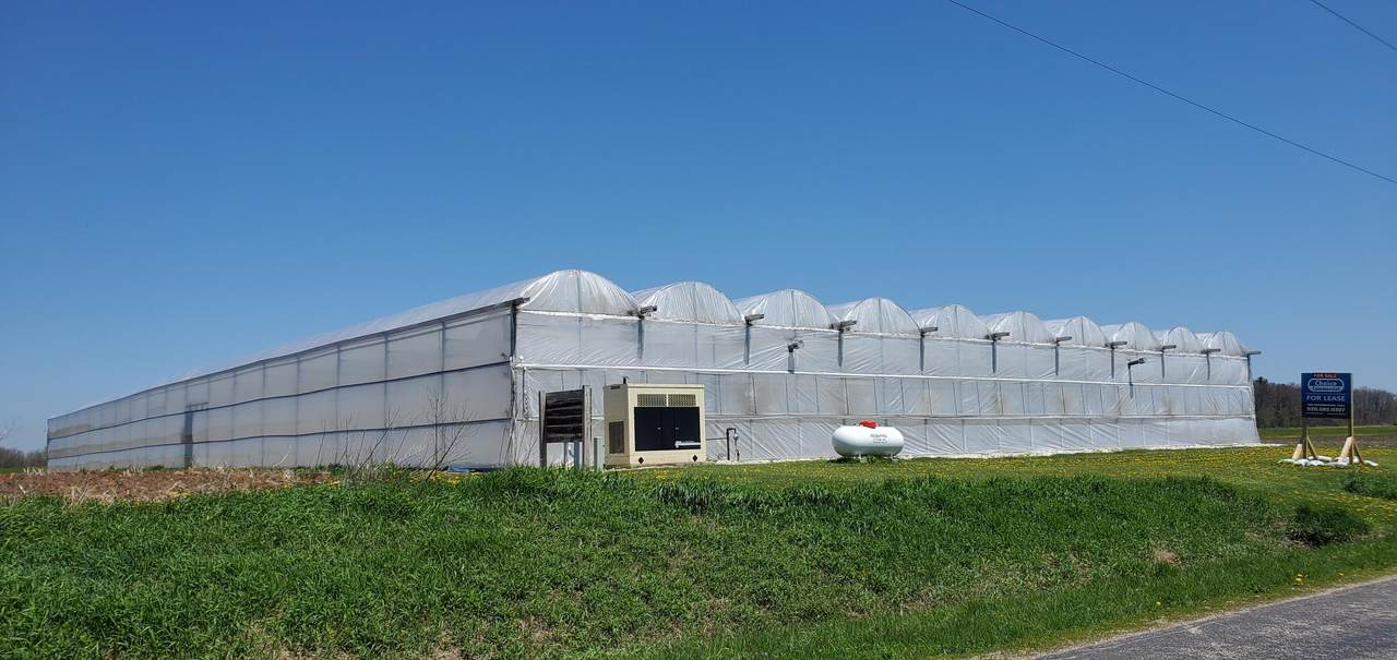 13004 Washington Rd - Photo 1