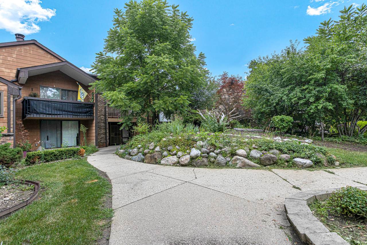 8549 Servite Dr - Photo 1
