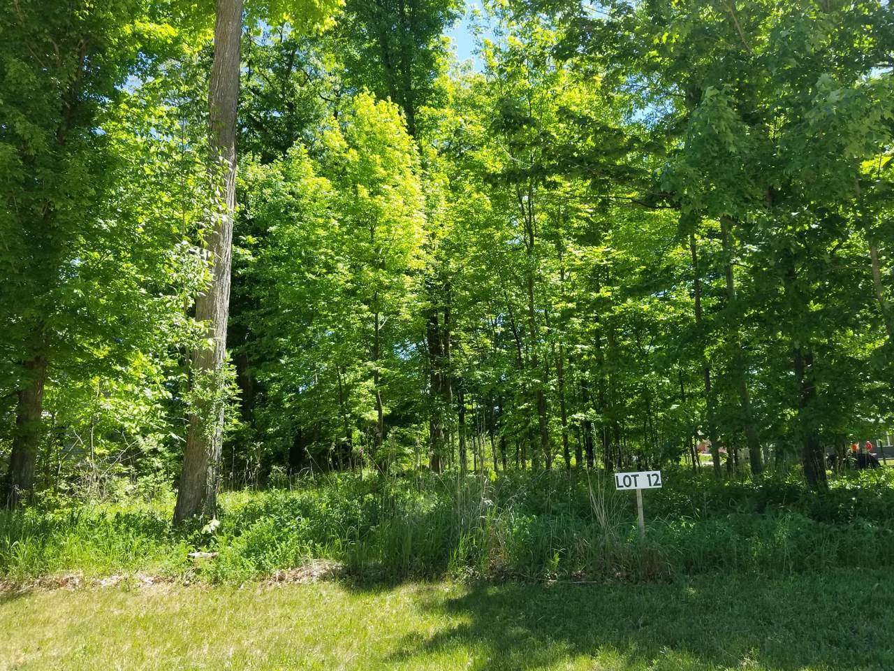 Lt12 Bkl9 Red Fox Ln - Photo 1