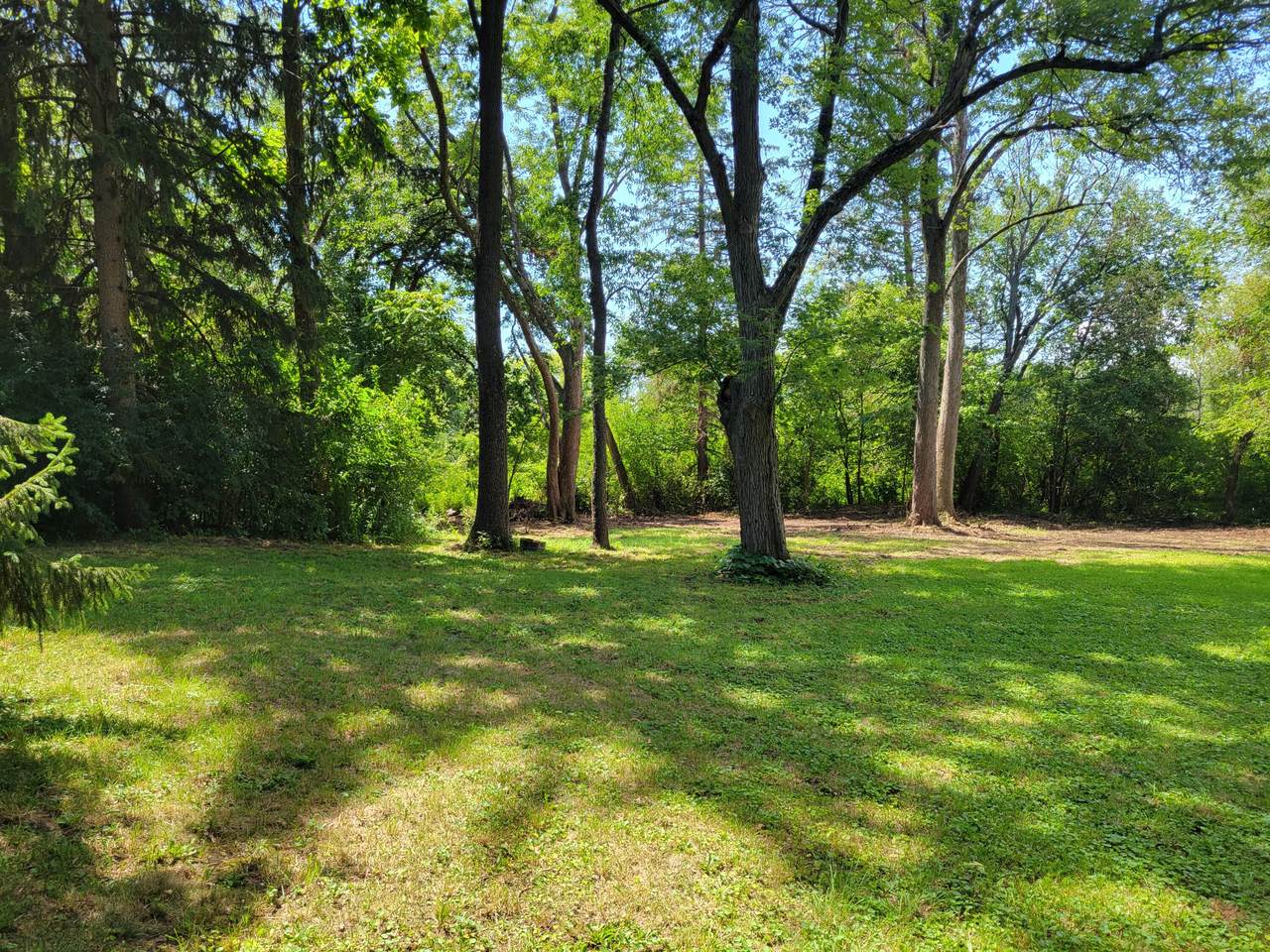 Lt1 335th Ave - Photo 1