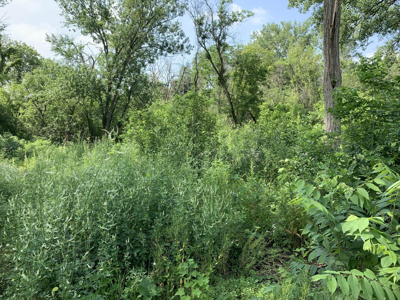 7095 Bay Rd - Photo 1