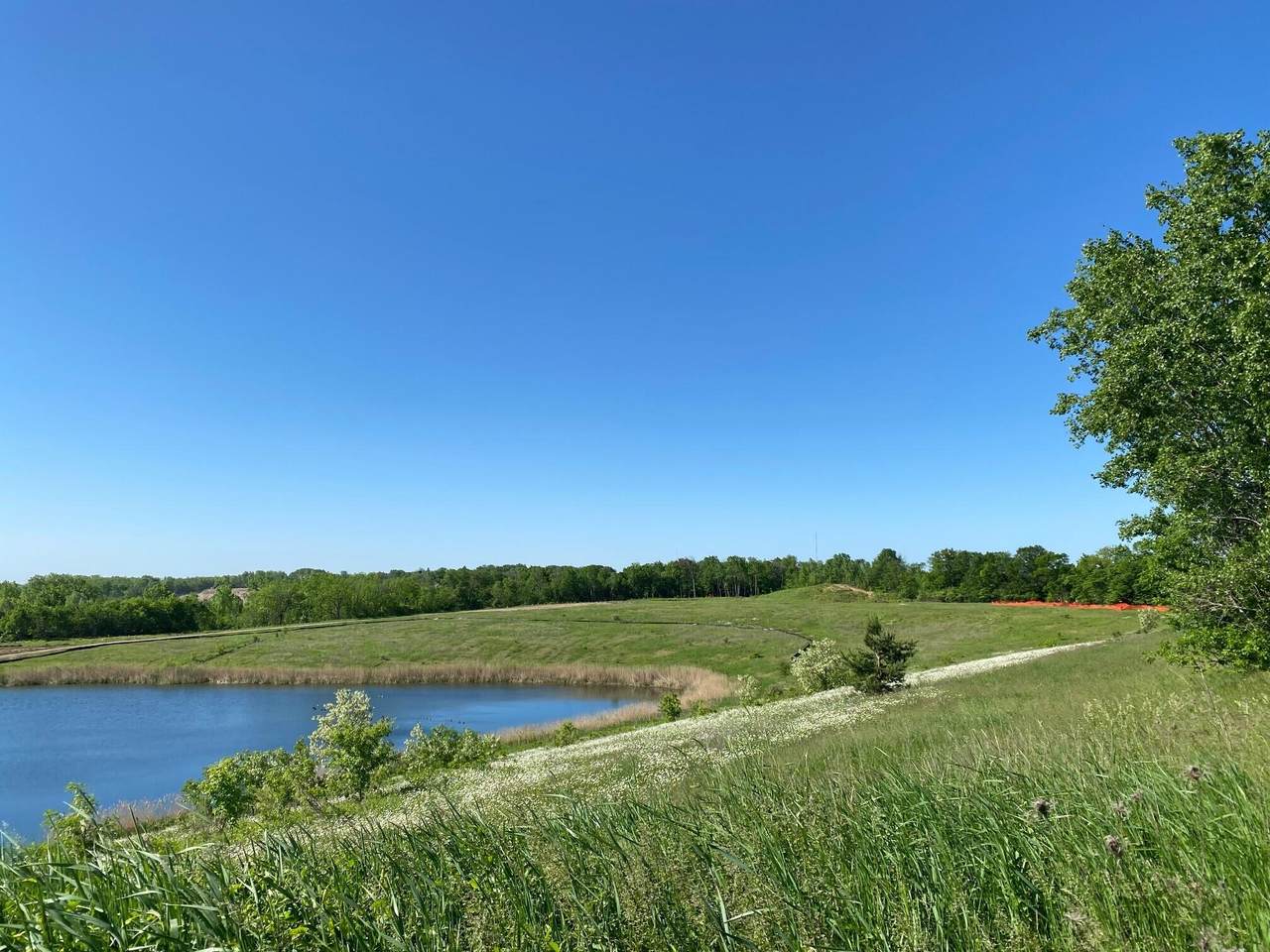 Lt1 Quarry Park Ct - Photo 1