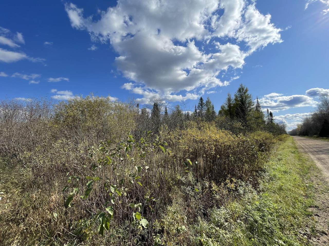 Lt0 Pratt Rd - Photo 1