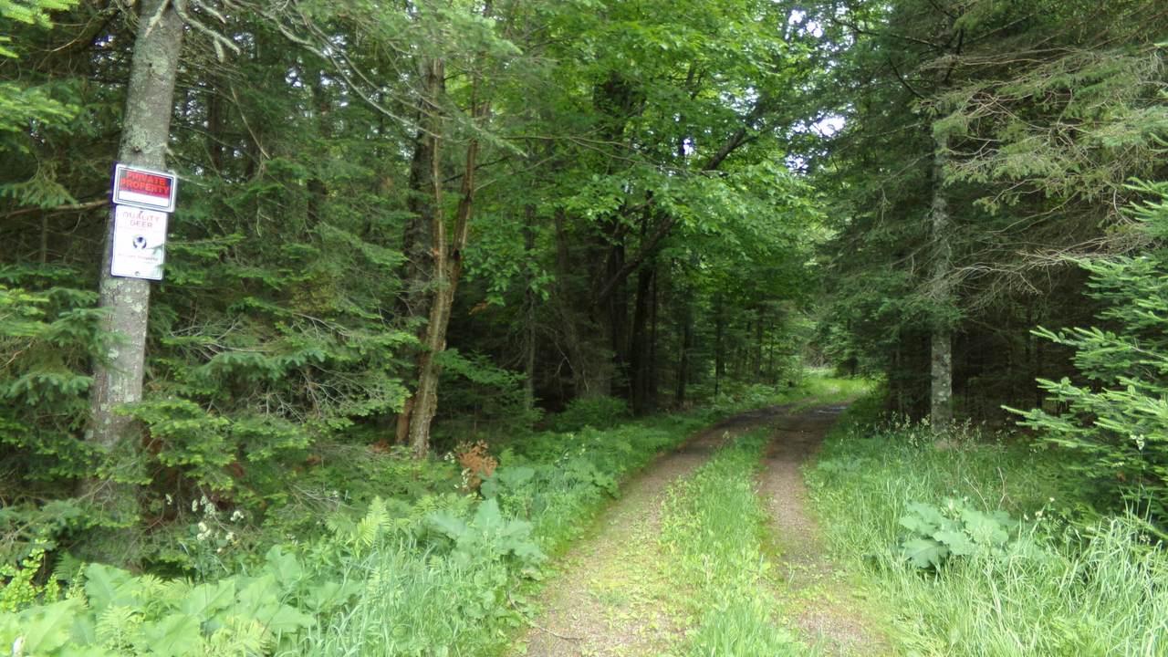 W16252 Butternut Rd - Photo 1