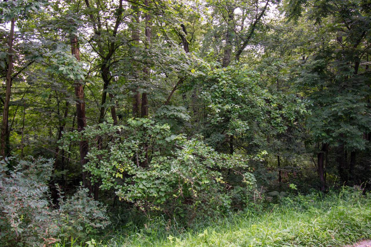 https://bt-photos.global.ssl.fastly.net/milwaukee/1280_boomver_1_1882985-2.jpg